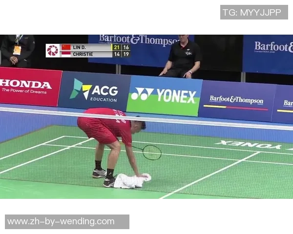 2012哥本哈根大师赛精彩表演赛盖德与林丹巅峰对决再现羽坛传奇