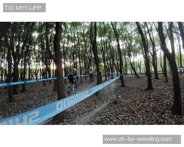 下班去哪儿丨在嘉定这个公园,Get费翔同款高兴 下班去哪儿丨在嘉定这个公园,Get费翔同款高兴